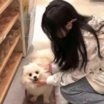 九天神剑手游